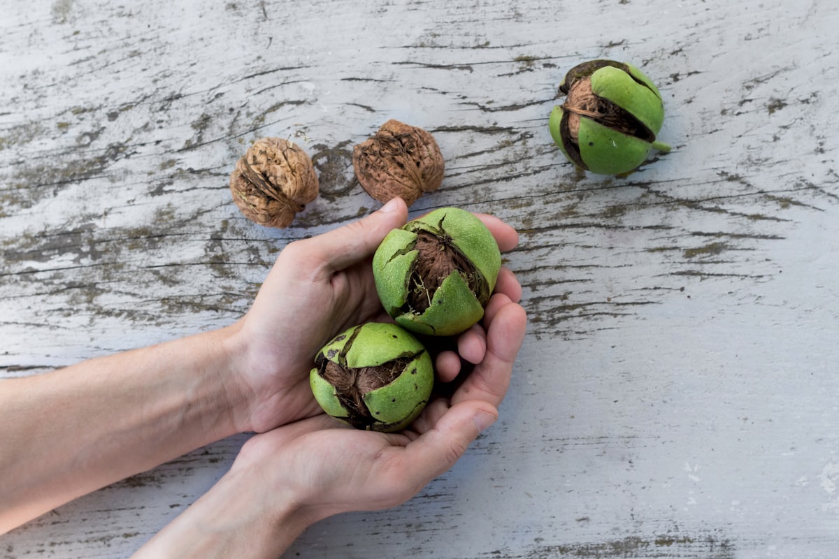Featured article on energy and stamina routines